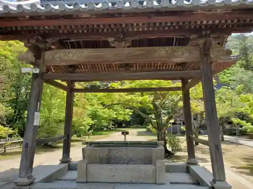 太山寺の手水舎