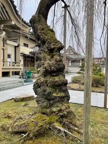蓮香院(宮城県)