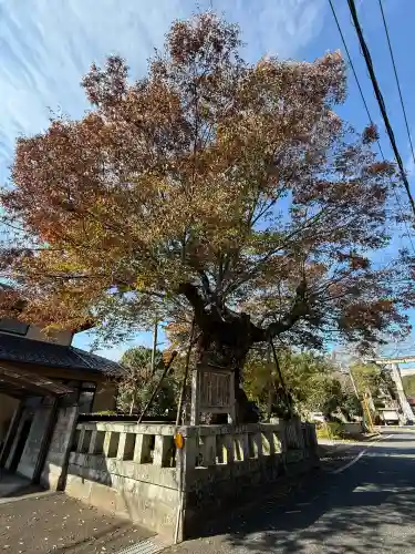 中山神社(岡山県)