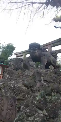 牛嶋神社の狛犬