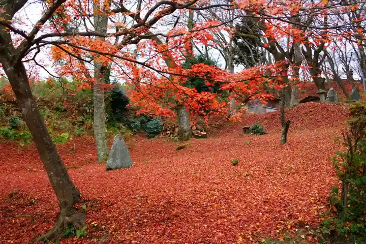 三春大神宮の自然