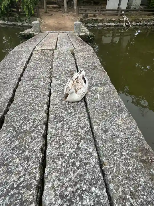 住吉神社(山口県)