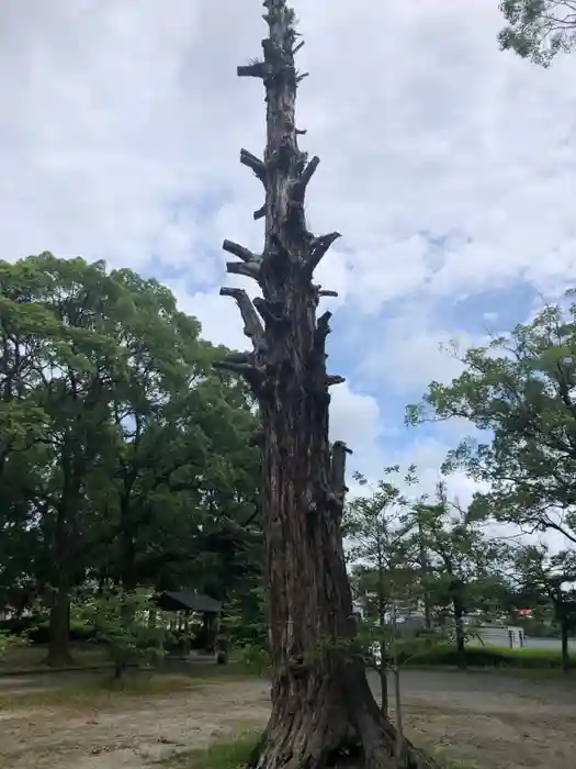 徳重神社の建物その他