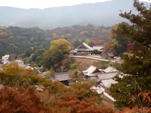 長谷寺の景色