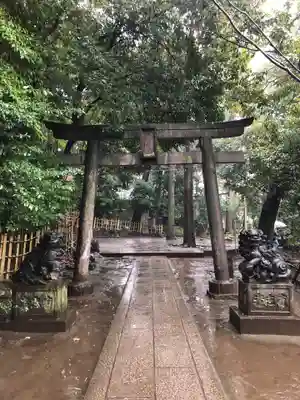 渋谷氷川神社の鳥居