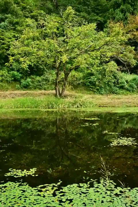 郡殿の池弁財天社(新潟県)