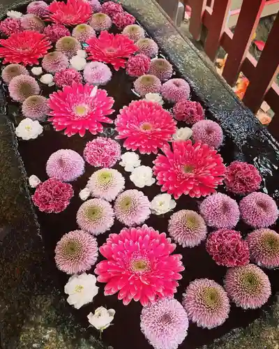 白山神社の手水舎