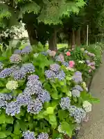 磯山神社の自然