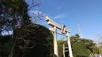 田縣神社の鳥居