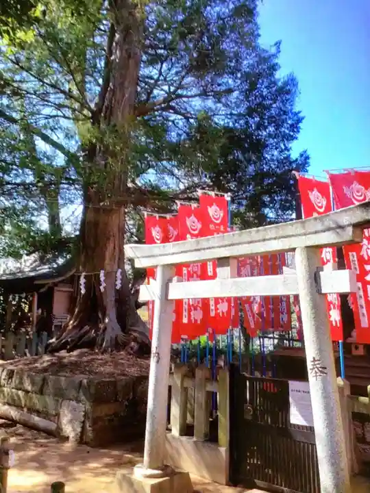 諏訪神社(東京都)