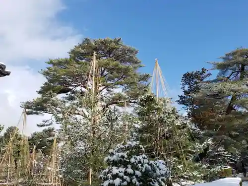 金澤神社の自然