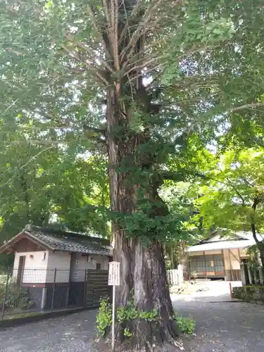 還来神社(滋賀県)