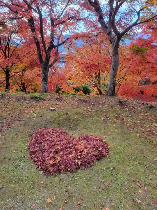 桂谷寺(兵庫県)