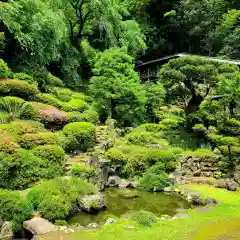 臨済寺の庭園