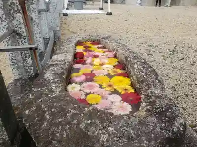 金井神社の手水舎