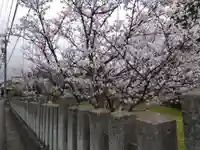 日吉神社(福井県)