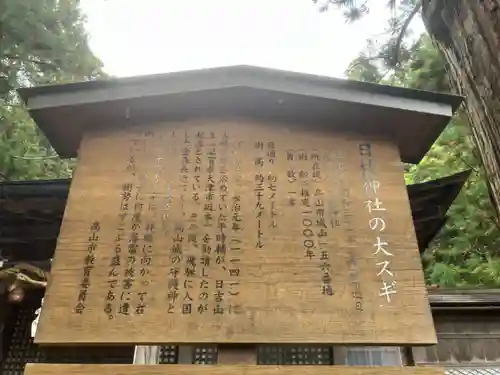 日枝神社(岐阜県)