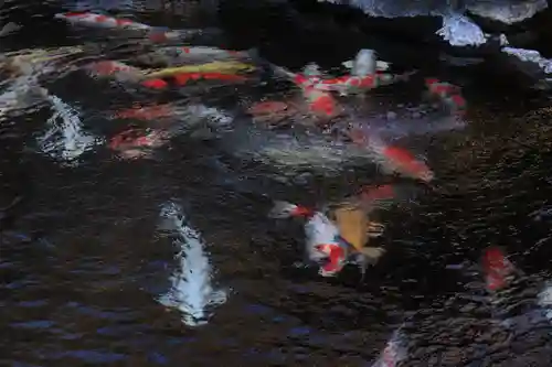 久遠寺(山梨県)