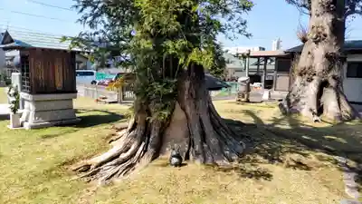 曹洞宗月光山鳳林寺(静岡県)