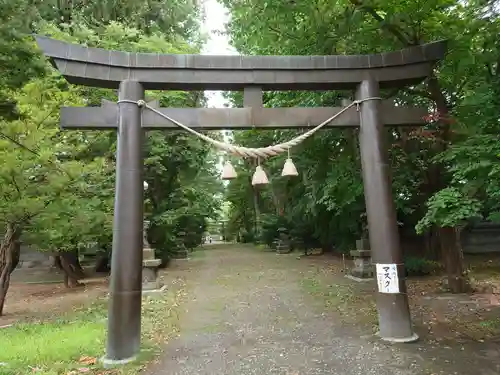 信濃神社の鳥居