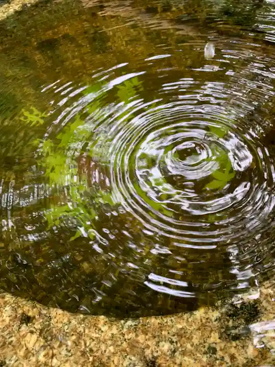 一條殿 新善光寺(京都府)