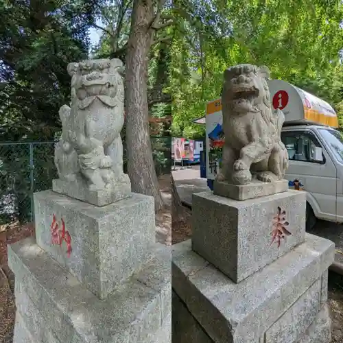 新倉富士浅間神社の狛犬