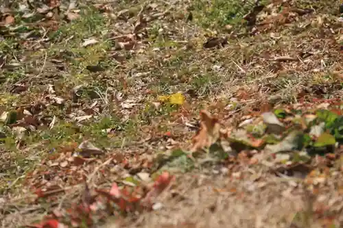 長屋神社の自然