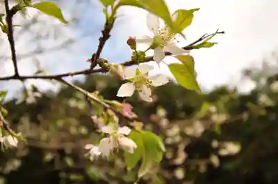 轟神社(高知県)