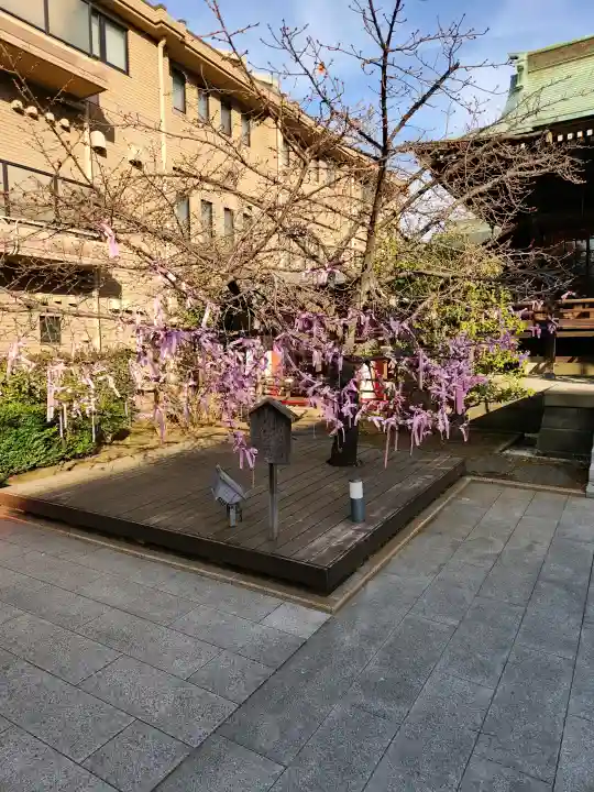 桜神宮の{uncategorized: "未分類", other: "その他", undefined: "問題あり", building: "その他建物", grave: "お墓", sacred_gate: "鳥居", guardian: "狛犬", statue: "像", buddha: "仏像", history: "歴史", nature: "自然", garden: "庭園", animal: "動物", pagoda: "塔", temizu: "手水舎", mountain_gate: "山門・神門", sanctuary: "本殿・本堂", subordinate: "末社・摂社", art: "芸術", scenery: "景色", jizo: "地蔵", ema: "絵馬", goshuin: "御朱印", omikuji: "おみくじ", items: "授与品その他", amulet: "お守り", goshuincho: "御朱印帳", eats: "食事", festival: "お祭り", votive_dance: "神楽", shichigosan: "七五三参", wedding: "結婚式", experience: "体験その他", initially: "初詣", around: "周辺", anti_infection: "感染症対策"}