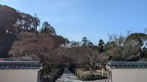 興聖寺（興聖寶林禅寺）の景色