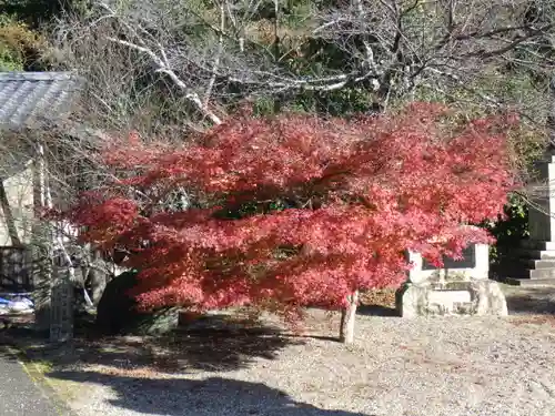 京都乃木神社の自然