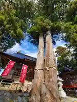 高司神社〜むすびの神の鎮まる社〜の自然