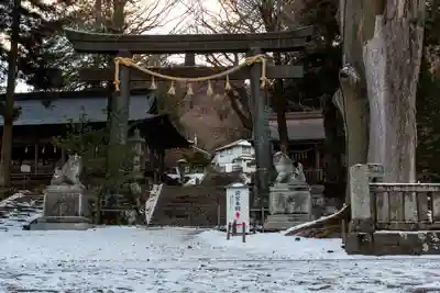 諏訪大社上社前宮(長野県)