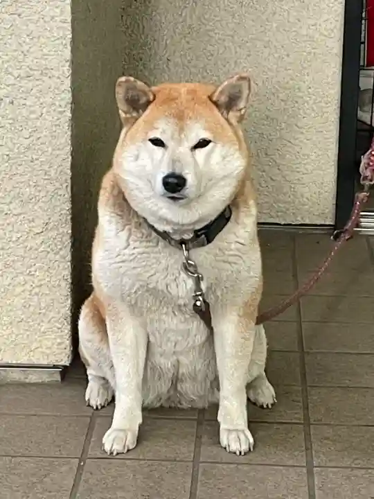 笠䅣稲荷神社(神奈川県)