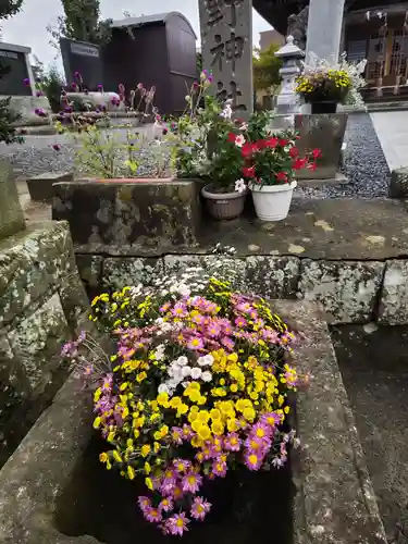 熊野福藏神社の手水舎