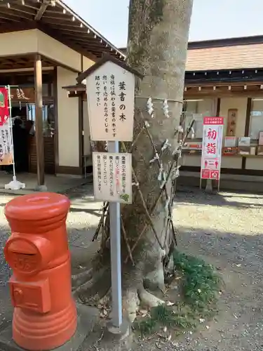 薬師寺八幡宮の自然