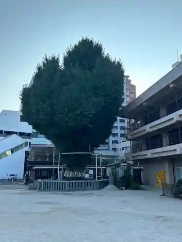 櫛田神社の自然