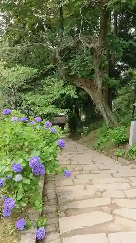 楽法寺（雨引観音）(茨城県)