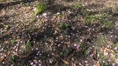 永山神社(北海道)