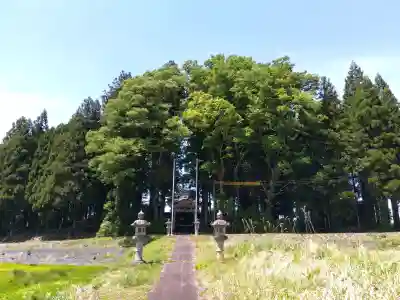 少名彦神社の{uncategorized: "未分類", other: "その他", undefined: "問題あり", building: "その他建物", grave: "お墓", sacred_gate: "鳥居", guardian: "狛犬", statue: "像", buddha: "仏像", history: "歴史", nature: "自然", garden: "庭園", animal: "動物", pagoda: "塔", temizu: "手水舎", mountain_gate: "山門・神門", sanctuary: "本殿・本堂", subordinate: "末社・摂社", art: "芸術", scenery: "景色", jizo: "地蔵", ema: "絵馬", goshuin: "御朱印", omikuji: "おみくじ", items: "授与品その他", amulet: "お守り", goshuincho: "御朱印帳", eats: "食事", festival: "お祭り", votive_dance: "神楽", shichigosan: "七五三参", wedding: "結婚式", experience: "体験その他", initially: "初詣", around: "周辺", anti_infection: "感染症対策"}
