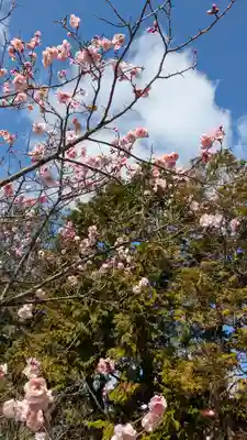 隨心院（随心院）(京都府)
