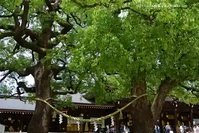 明治神宮(東京都)