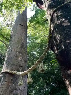 川越氷川神社(埼玉県)