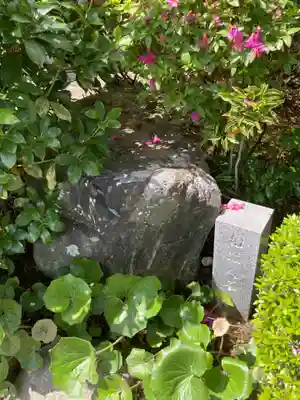 西光寺(神奈川県)