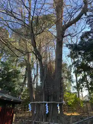 大國魂神社(東京都)