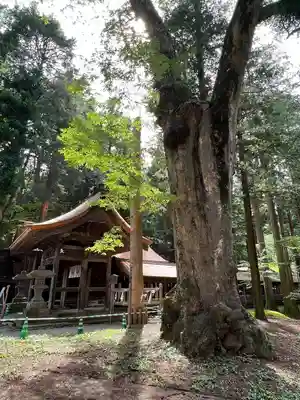 諏訪大社(長野県)