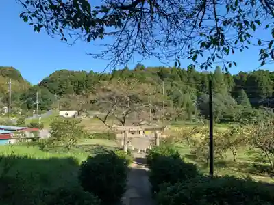 天照大神社の鳥居