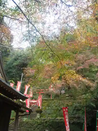 佐助稲荷神社の自然