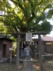 大麻比古神社(徳島県)