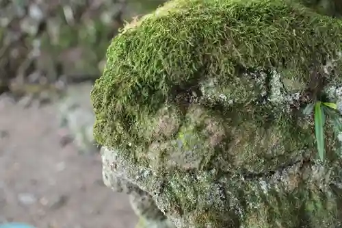 眞名井神社の狛犬